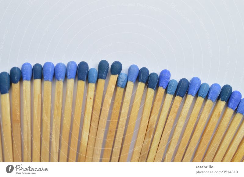 konform | Streichhölzer mit unterschiedlich blauen Köpfen auf weißem Untergrund Streichholz anzünden Feuer Sammlung Muster Freifläche nebeneinander entflammen