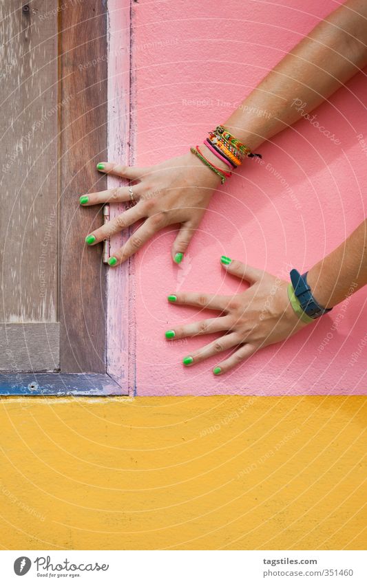 HAND DRAUF Hand Frauenhand Farbe Farbstoff mehrfarbig rosa gelb braun grün Kontrast Postkarte Thailand Krabi Wand Arme Körperteile Farbfoto