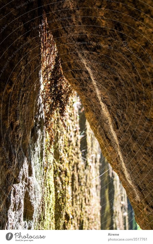 Gegensätze | drinnen - draußen Höhle Spalt Felsspalt Durchschlupf eng Schlucht Engstelle braun geheimnisvoll spitz Naturgewalt hellbraun Sonnenlicht