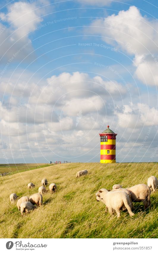 Schafe am Ottoturm - Pilsumer Leuchtturm Natur Landschaft Wolken Küste Seeufer Strand Nordsee Ostsee Meer Nutztier Herde Erholung Freiheit Horizont Ostfriesland