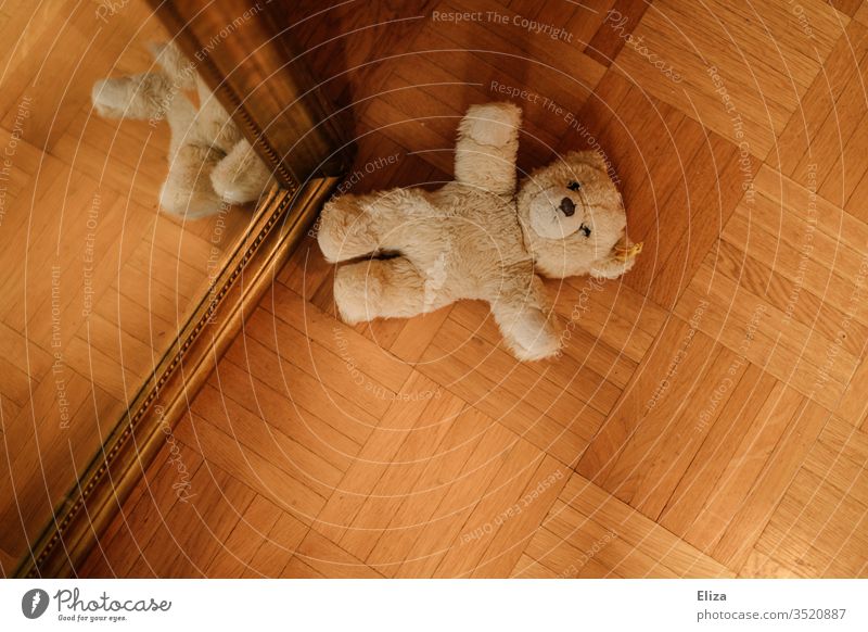 Ein auf dem Boden liegender Teddybär Kindheit vergessen liegengelassen Spielzeug Kuscheltier achtlos Spielen Bär braun Einsamkeit alleine plüsch verloren einsam