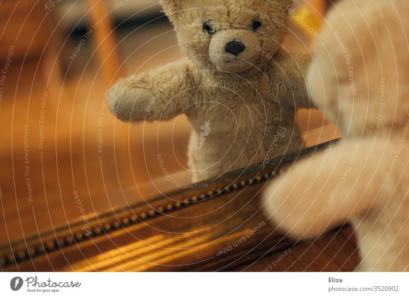Ein Teddybär der sein Spiegelbild im Spiegel betrachtet Kindheit Boden Spielzeug Kuscheltier achtlos Spielen Bär braun Einsamkeit alleine plüsch verloren einsam