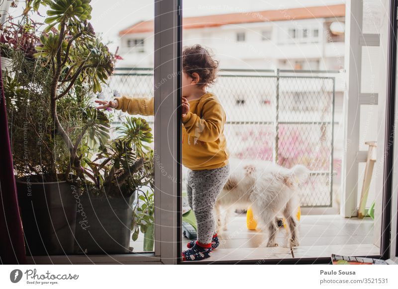 Kind und Hund auf dem Balkon Einsperrung Quarantäne Quarantänezeit sars covid-19 Coronavirus Haustier Zusammensein Zusammengehörigkeitsgefühl Schutz
