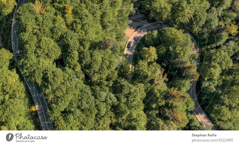 Kurvige Straße durch einen grünen Wald von oben mit einer Drohne fotografiert. straße wald aerial drohne Luftaufnahme Vogelperspektive Natur Baum Sommer Tag
