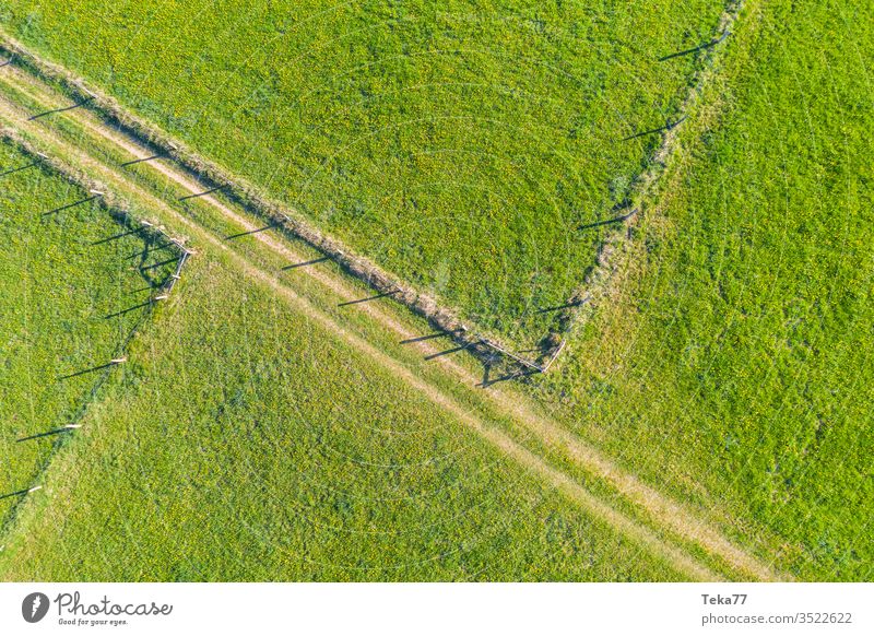 Quellfelder und Zäune von oben Felder von oben Zaun Tierzäune landwirtschaftlich Landwirtschaftlicher Weg Traktor Traktorpfad Feldhintergrund Wiesen-Hintergrund