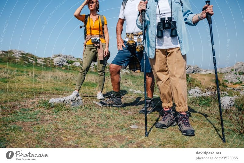 Drei Personen, die Trekking im Freien praktizieren Wanderer Frau Menschengruppe Landschaft Natur Trekkingstöcke Reise Sommer Wanderung Erholung Nordic Walking