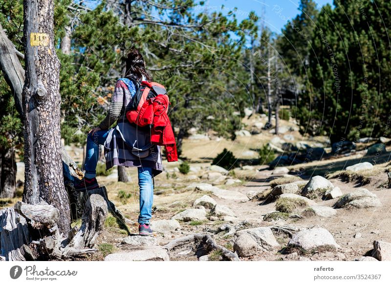 Rückansicht einer Rucksacktouristin, die auf einem Waldweg steht und wegschaut Wanderer Kontemplation Stehen Tourismus Backpacker Freiheit Person Reisender