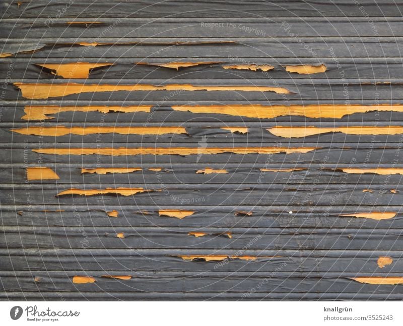 Alter dunkler Rolladen aus Holz, an dem die Farbe abblättert und helles Holz sichtbar wird Sichtschutz abblättern alt verwittert Farbschicht Strukturen & Formen