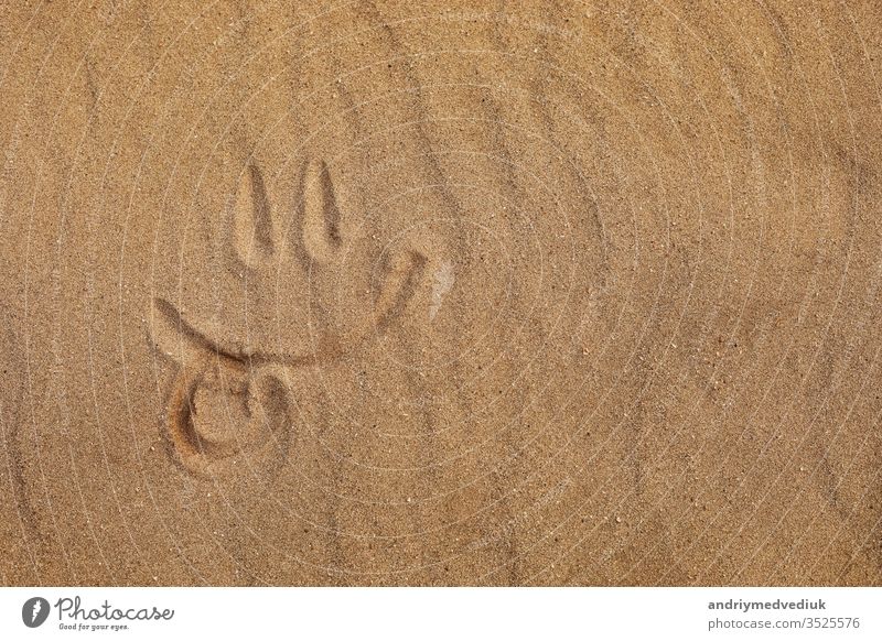 Smiley mit dem Finger am Sandstrand gemacht - Zunge raus. selektiver Fokus Hintergrund ausspannen Textur Symbol sonnig Sonne Sommer Smiley-Symbol Smiley-Gesicht