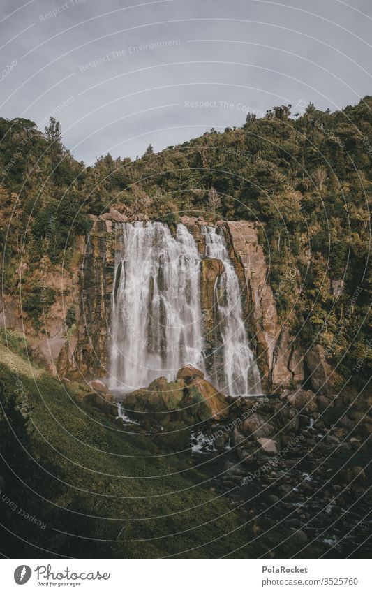 #As# Wasser am Fallen Wasserfall wasserfallausschnitt Neuseeland Neuseeland Landschaft Dschungel Natur Naturliebe Naturerlebnis Farbfoto Außenaufnahme