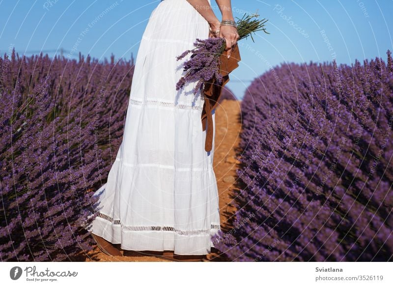 Hübsches Mädchen in weißem Kleid und Hut im Boho-Stil in einem Lavendelfeld mit Lavendelbouquet Blume Hintergrund Frau Mode geblümt Sonnenuntergang Sommer