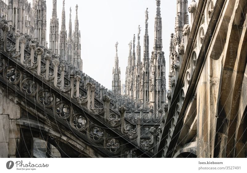 Reihen von gotischen Türmen der Kathedrale von Mailand, Italien Architektur Statue Wahrzeichen Kirche Großstadt Gebäude reisen Dach Duomo Europa Ansicht
