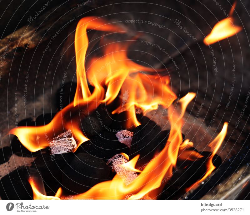 We'll burn! Anfeuern zum sommerlichen Grillabend mit Grillanzündern in einfacher Holzkohle. Feuer Flamme heiß grillen. Holzkohle Grillen Kohle