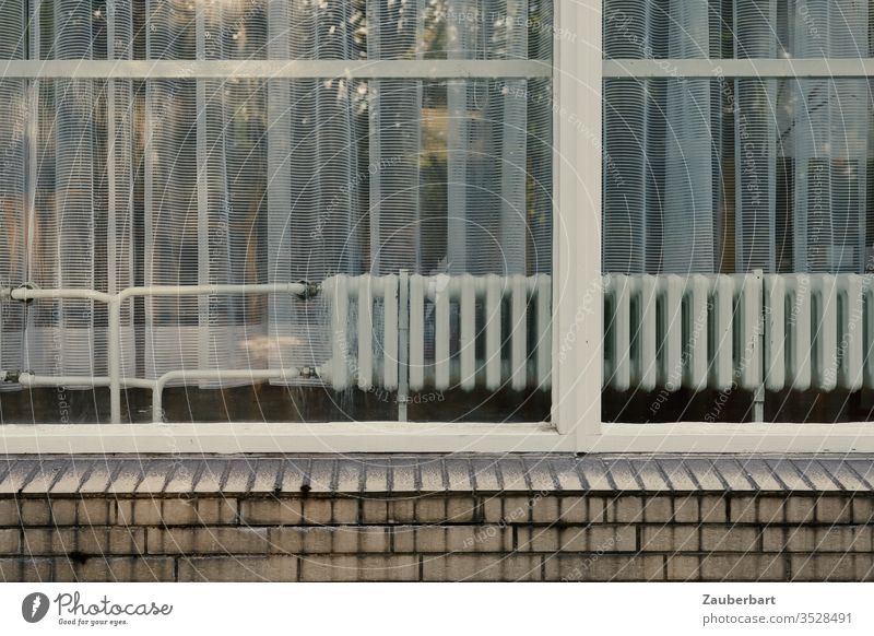 Fenster mit weißem Rahmen, dahinter Heizkörper und Gardine, auf Absatz aus hellen Ziegeln Heizungsrohre Fassade Bauwerk Haus 60er Spiegelung Glas trist