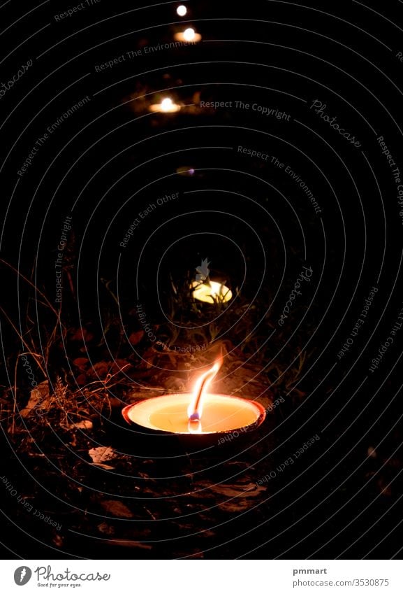 Kerzen erhellen den Weg in der Dunkelheit des Lebens Hoffnungskonzept Beerdigung Ordnung schwarz Blütezeit Blumenstrauß Brandwunde Verpflegung Feier Weihnachten