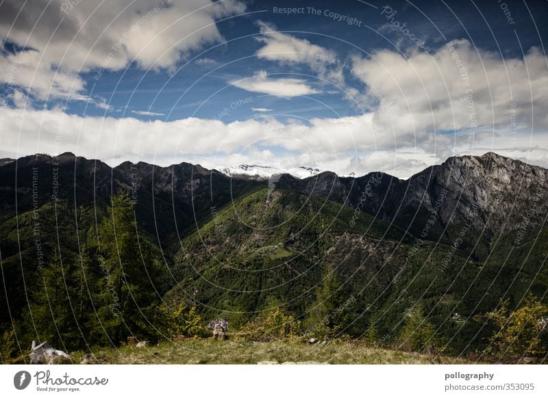 diverse nature 2 Umwelt Natur Landschaft Pflanze Luft Himmel Wolken Sommer Wetter Schönes Wetter Baum Blume Gras Wiese Wald Hügel Felsen Alpen Berge u. Gebirge