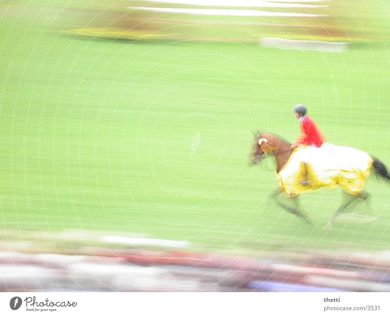 1 PS Pferd Springreiten Aachen Geschwindigkeit Sport Reitsport reitturnier Bewegung horse riding