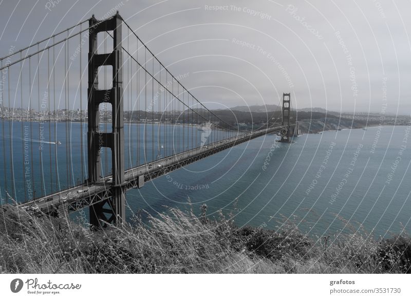 Blue Golden Gate Bridge Wasser Blau San Francisco Brücke Amerika USA Kalifornien Stahl Wahrzeichen Farbfoto Meer Sehenswürdigkeit Bucht Außenaufnahme