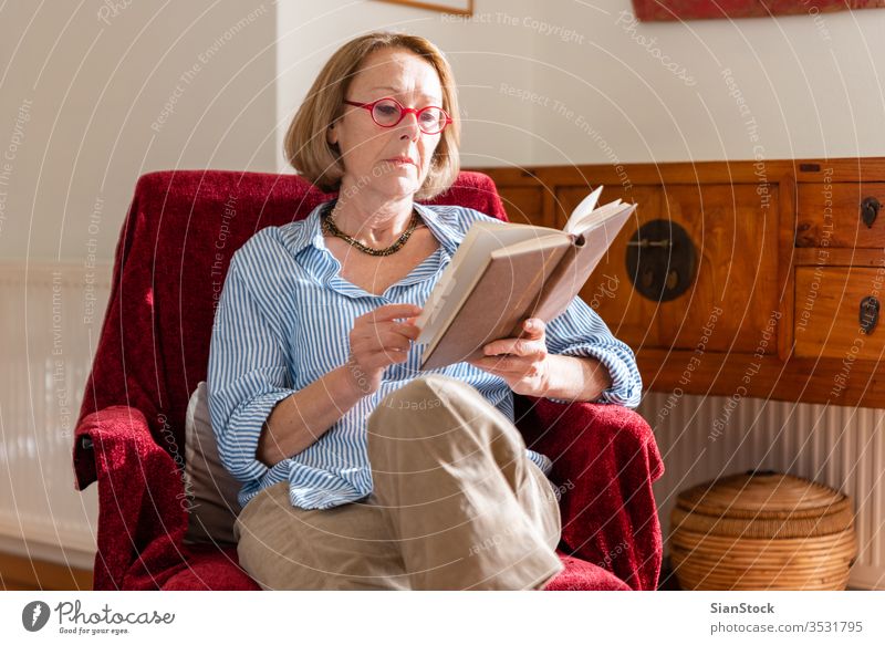 Elegante reife Frau liest zu Hause ein Buch Lesebuch ältere Frau Entspannung zu Hause Wissen modern Wohlbefinden Mitte Beteiligung Blick Armsessel Sitzen