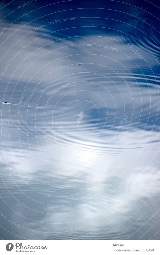 Regen bringt Segen Wasser Himmel Reflexion & Spiegelung See Teich Vogelperspektive Wetter Klima Regentropfen Tropfen Kreise blau weiß Wolken blauer Himmel