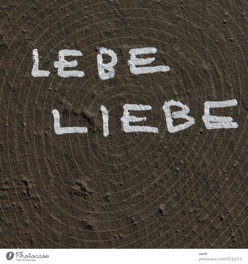 Aufschrift Lebe Liebe an einer Fassade Schilder & Markierungen Schriftzug Buchstaben Street Art Berlin Gebäude grau Mauer Schriftzeichen Graffiti Wand Zeichen
