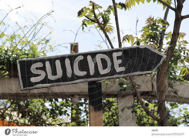 Wegweiser mit der Aufschrift Suicide Suizidalität Selbstmörder Selbstmord suicide Schilder & Markierungen Zeichen Hinweisschild Park Berlin Richtung