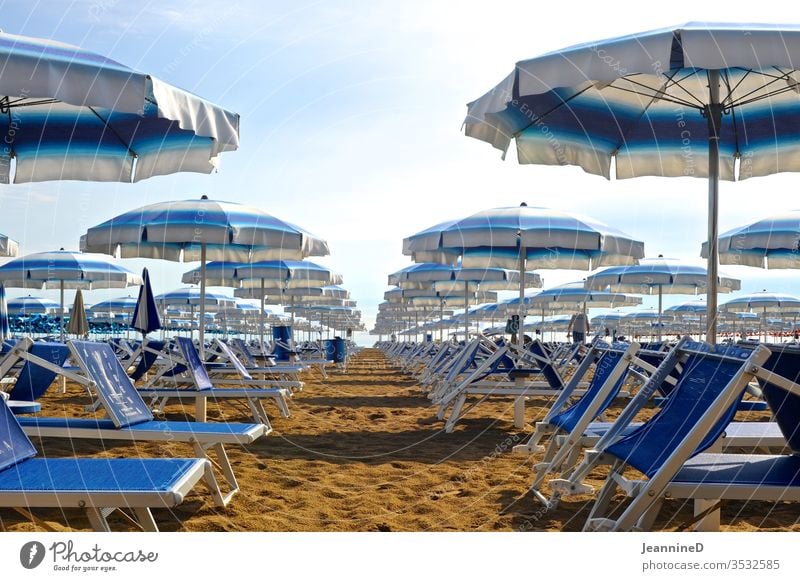 blaue Sonnenliegen mit passenden Sonnenschirme am Strand Sommer Ferien & Urlaub & Reisen Erholung Außenaufnahme Menschenleer Tag Tourismus Himmel grün gestreift
