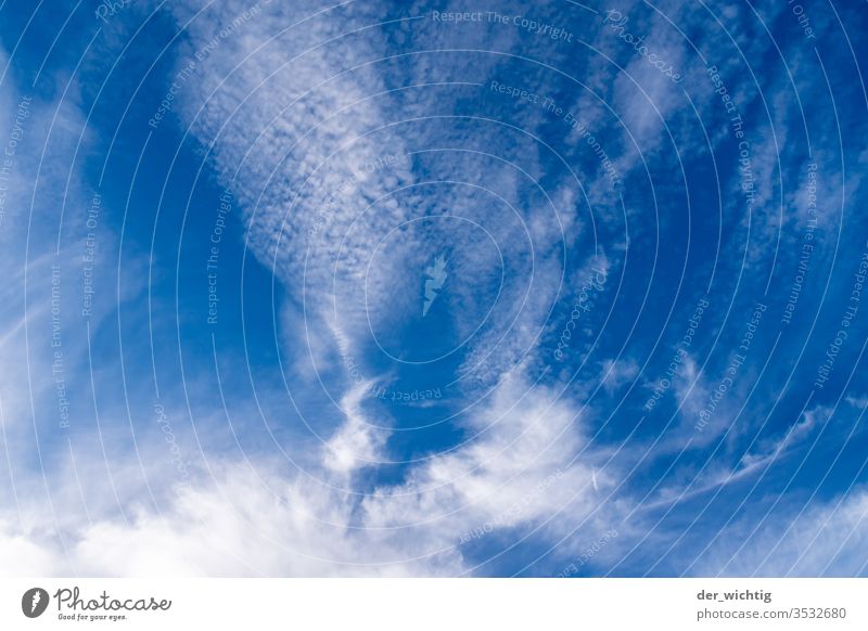 Himmel und Wolken schönes Wetter Froschperspektive Menschenleer Umwelt Tag Natur Farbfoto Unendlichkeit Wolkenformation Wolkenberg Wolkenhimmel