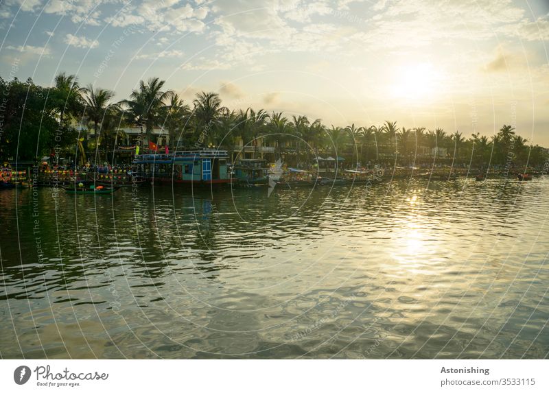 Abend in Hoi An am Thu Bon Fluss Vietnam Asien Sonne Palmen Spiegelung Natur Wasser Außenaufnahme Ferien & Urlaub & Reisen Reflexion & Spiegelung Landschaft