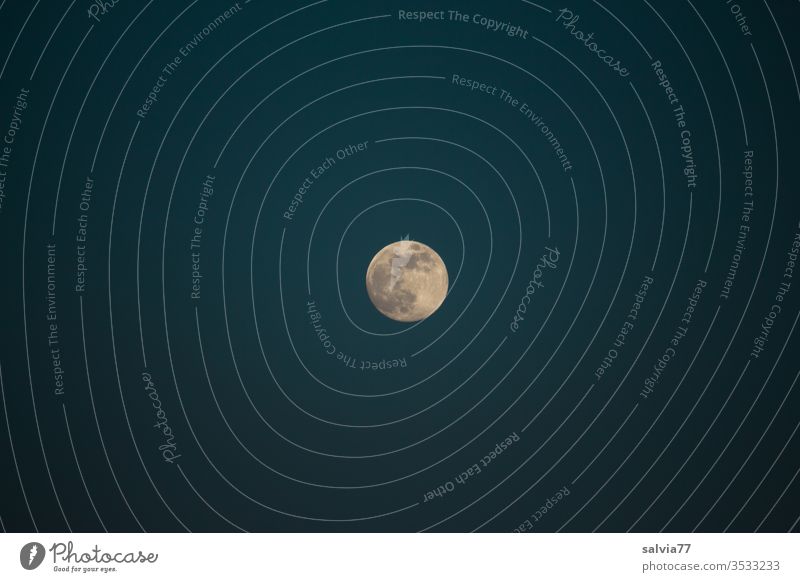 Vollmond Mond Nachthimmel Natur Himmel dunkel Mondschein Menschenleer Kontrast Mittelpunkt