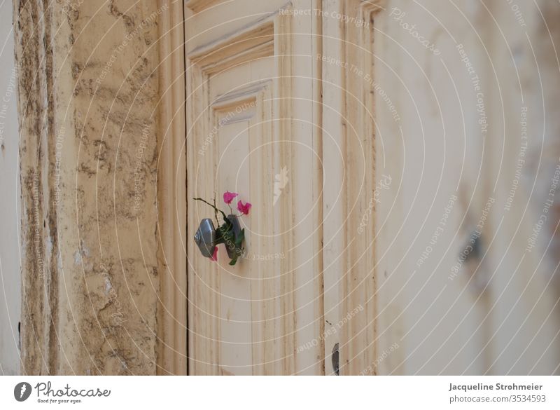 Holztür mit Blumen in Sliema, Malta maltesisch alte Tür Vintage-Tür altehrwürdig schäbiger Chic schäbige Wand rosa Blume Türknauf Vintage-Look Europa Insel
