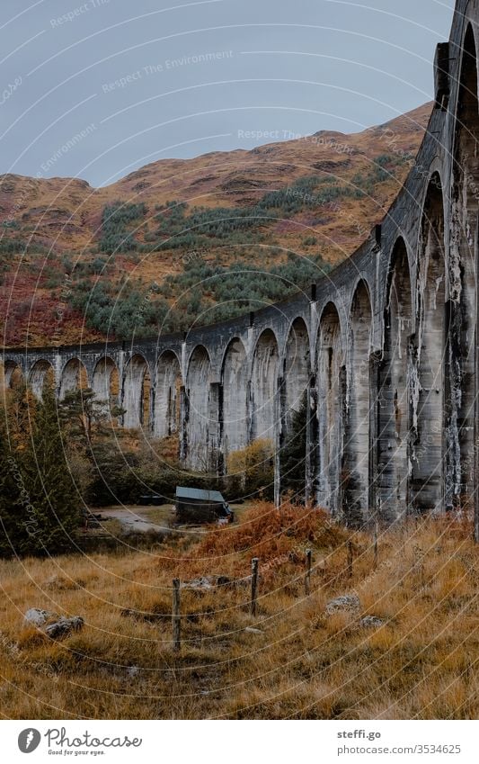 Viadukt in Schottland im Herbst von unten; Drehort Harry Potter Filme Europa Großbritannien Farbfoto Außenaufnahme Natur Menschenleer Landschaft Tag