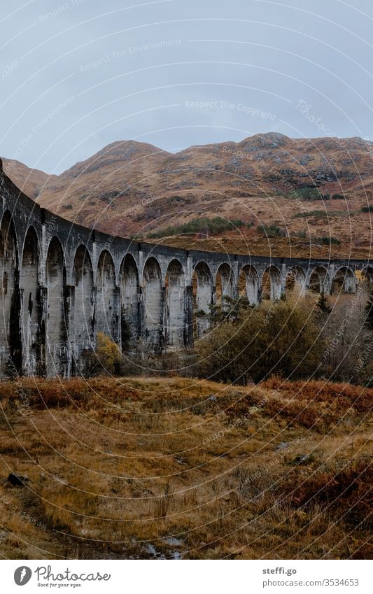 Viadukt in Schottland im Herbst von unten; Drehort Harry Potter Filme; Panorama Europa Großbritannien Farbfoto Außenaufnahme Natur Menschenleer Landschaft Tag