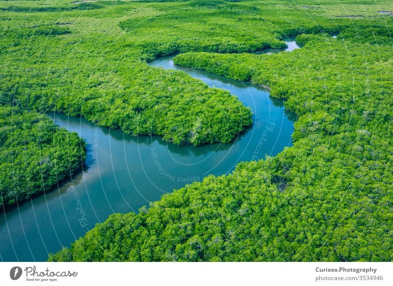 Mangroven in Gambia. Luftaufnahme des Mangrovenwaldes in Gambia. Foto von Drohne von oben gemacht. Afrikanische Naturlandschaft. Mangrovenwälder Fluss Antenne
