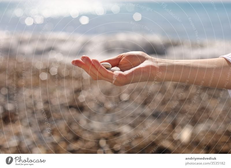 weibliche Hand hält kleine Kieselsteine in der Hand in der Nähe des blauen Meeres auf einem Strandhintergrund, Aufheben von Kieselsteinen am Steinstrand, runde Kieselsteine, Souvenir für den Sommerurlaub, Strandtag, selektiver Fokus