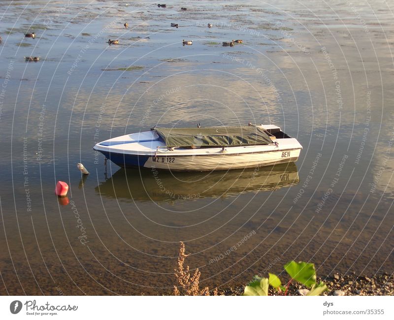 Einsames Boot Wasserfahrzeug See Idylle ruhig Erholung Angeln Rheingau Reflexion & Spiegelung Einsamkeit Langeweile Freizeit & Hobby Schifffahrt Fishing