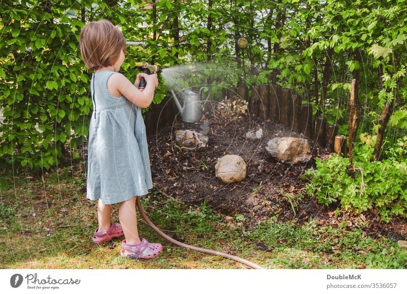 Ein Mädchen gießt den Garten Farbfoto gießen Freizeit & Hobby Gartenarbeit Hecke Spaß haben Engagement engagiert grün Wasserschlauch Außenaufnahme Tag Schlauch