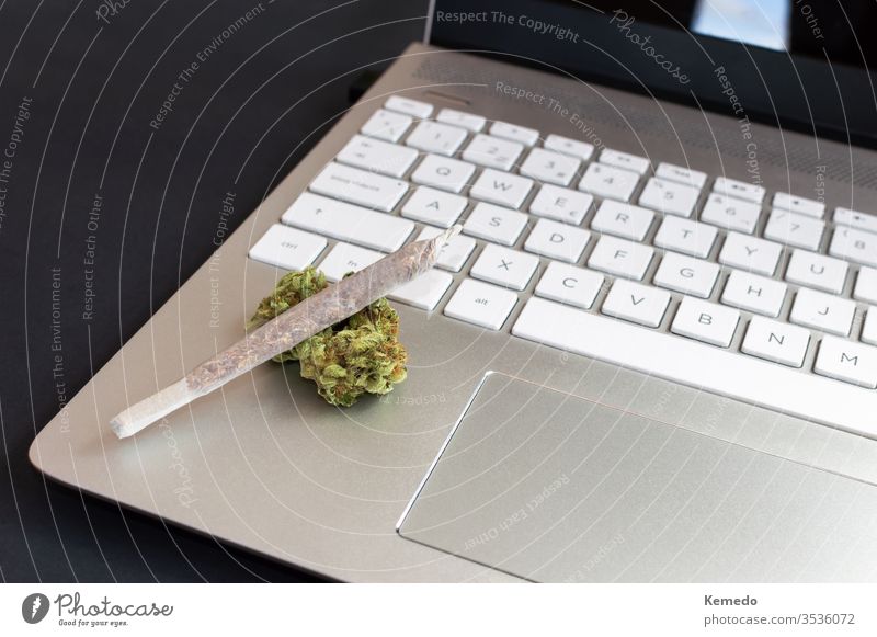 Großer Marihuana-Joint und Cannabis-Knospen auf Laptop auf schwarzem Hintergrund, Konzept von Cannabis und Technologie. Technik & Technologie Computer Gelenk