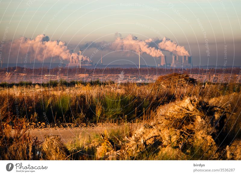 Am Rand des Braunkohlentagebaus Hambach in NRW mit Blick auf qualmende Braunkohlenkraftwerke Kohlekraftwerk Klimawandel Erderwärmung Umweltverschmutzung