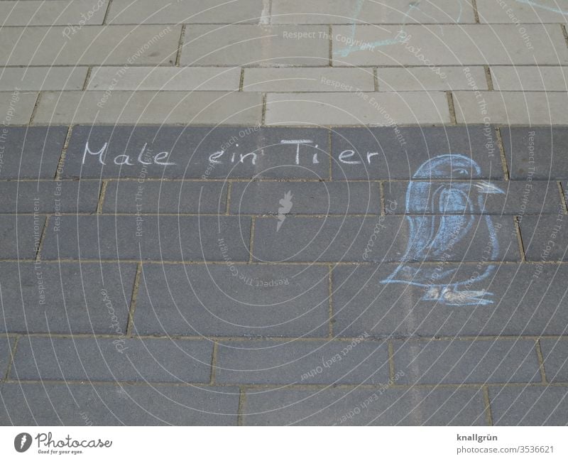 „Male ein Tier„ mit Kreide auf den Gehweg geschrieben, daneben eine Kreidezeichnung eines Pinguins malen Vogel Außenaufnahme Zeichnung Strassenmalerei