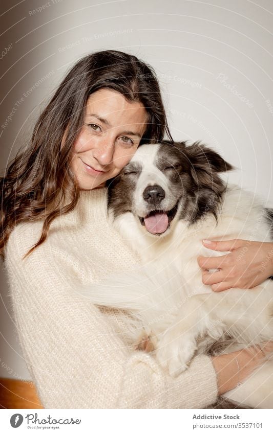 Glückliche Frau umarmt süßen, reinrassigen, grau-weißen Hund während der Bodenruhe Umarmen Stock Umarmung Pflege sitzen ruhen niedlich Freundschaft Haustier