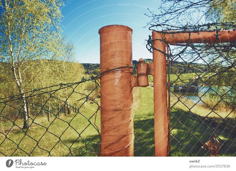 Vollpfosten Zaun Pfosten Blitzlichtaufnahme Metall Maschendrahtzaun Natur Landschaft Bäume Wolkenloser Himmel Sonnenlicht Schönes Wetter Schatten Gras Licht