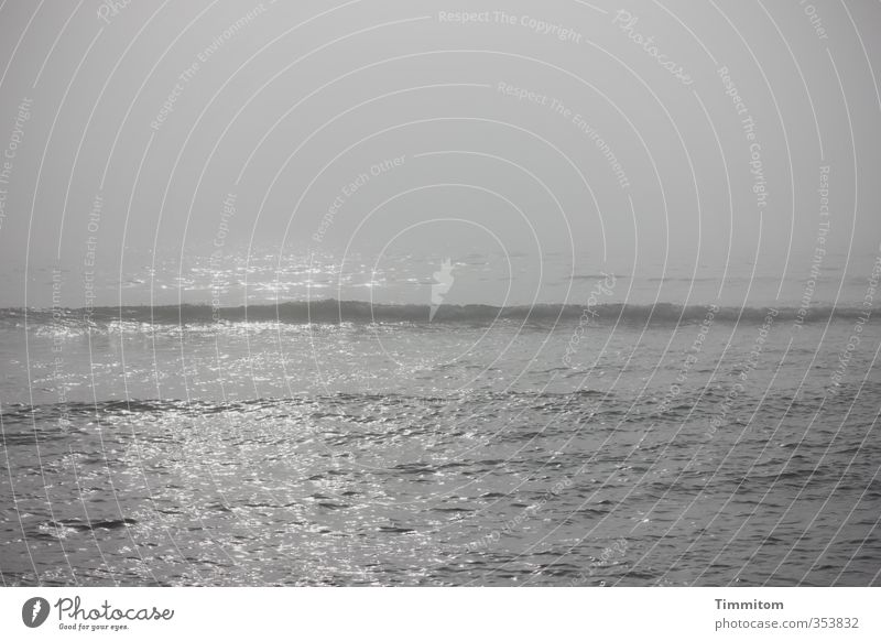 Nordsee erwacht. Ferien & Urlaub & Reisen Meer Wellen Umwelt Natur Wasser Himmel Küste Dänemark Blick ästhetisch natürlich grau Gefühle ruhig Nebel