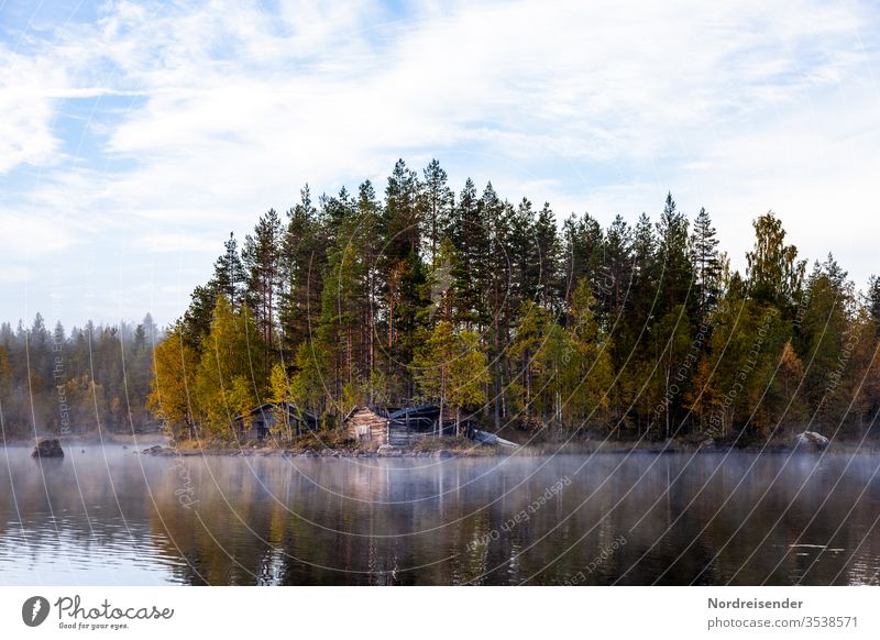 Schwedische Wälder mit Nebel im Herbst Weitwinkel Panorama (Aussicht) Reflexion & Spiegelung Kontrast Tag Textfreiraum unten Menschenleer Außenaufnahme Farbfoto