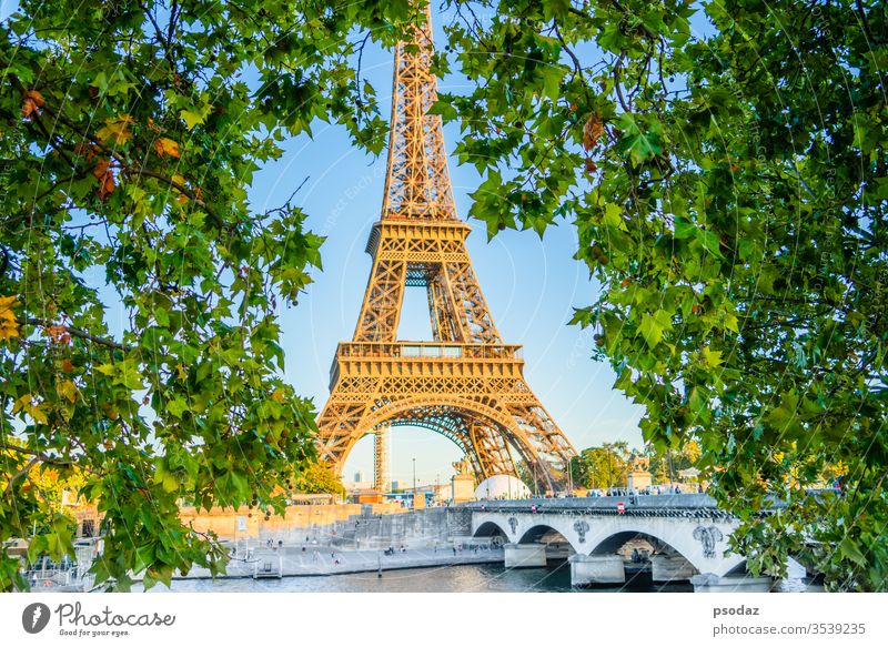 Eiffelturm, Paris. Frankreich-Ansicht durch Ahornblatt antik Architektur schön blau Brücke Gebäude Kapital Großstadt Stadtbild Konstruktion Morgendämmerung