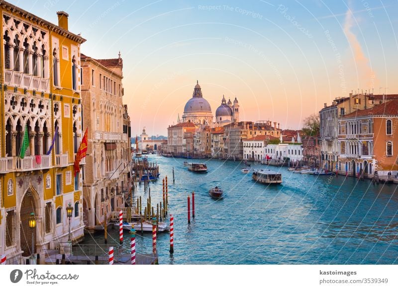 Canal Grande in Venedig, Italien. reisen Kanal Santa Maria della Salute Ort herrschaftlich berühmt Europäer Gondellift Basilika Sonnenuntergang arhitektur