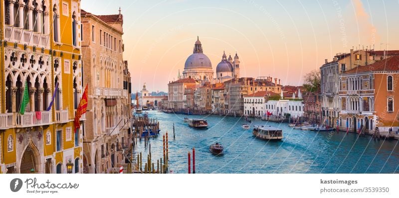 Canal Grande in Venedig, Italien. reisen Kanal Santa Maria della Salute Ort herrschaftlich berühmt Europäer Gondellift Basilika Sonnenuntergang arhitektur