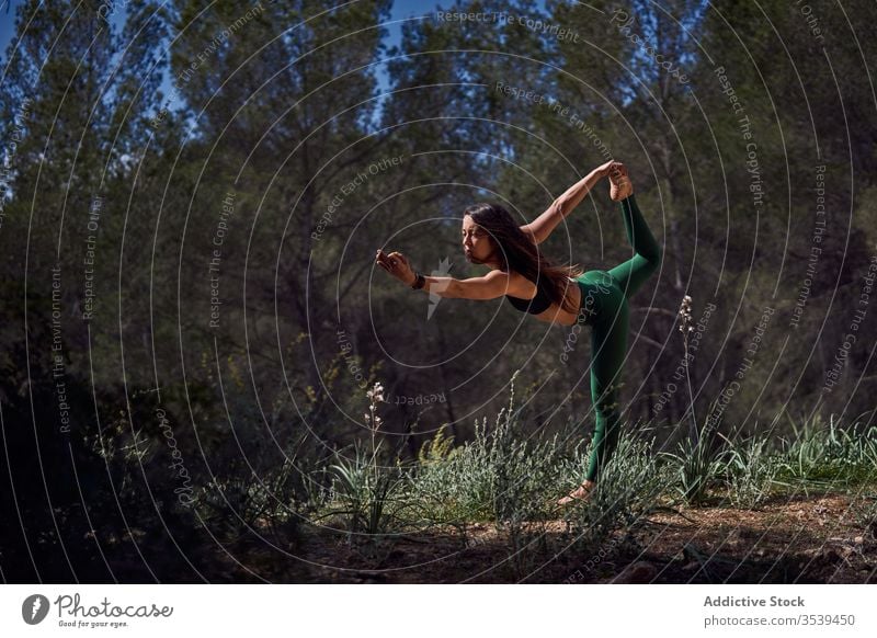 Fitnesssportler praktiziert Yoga im Wald Frau Sportbekleidung positionieren Übung Gleichgewicht Schwalben Harmonie stehen Pose Morgen schlank Gesundheit