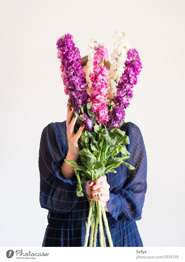 Kreatives weibliches gesichtsloses Porträt mit Blumenstrauss rosa Muttertag Frau Frühling matthiola incana Haufen purpur romantisch Blumenstrauß Frauentag