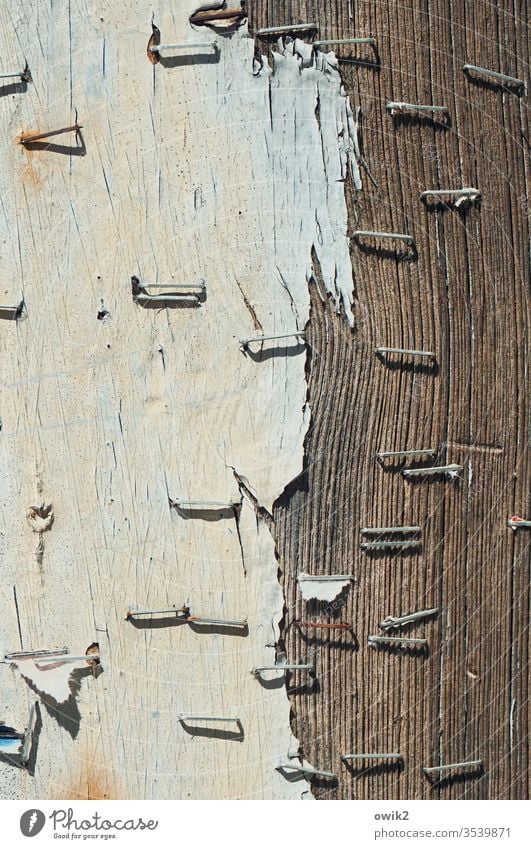 Vergessene Botschaften Wand Holz alt Maserung Strukturen & Formen Außenaufnahme Menschenleer Holzbrett braun Muster Nahaufnahme Detailaufnahme Tag Sonnenlicht